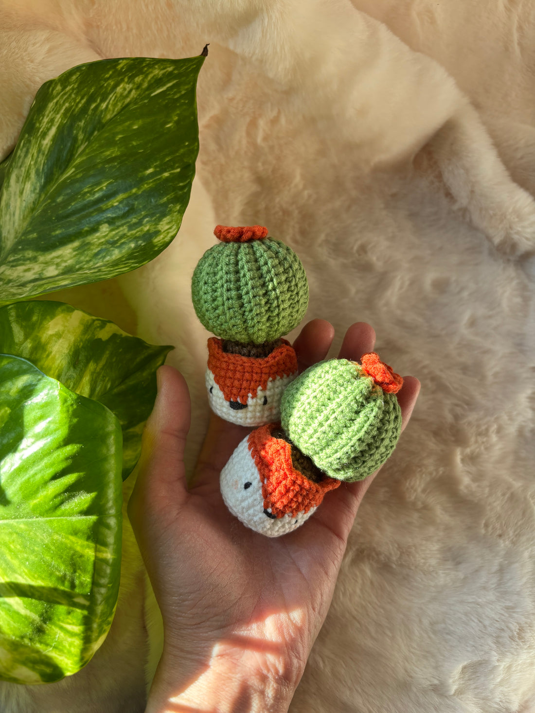 Hand holding two crochet cacti in orange fox pots