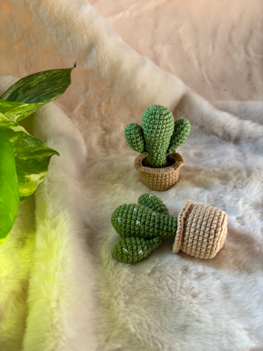 Crochet bunny ear cacti, one standing and one lying down