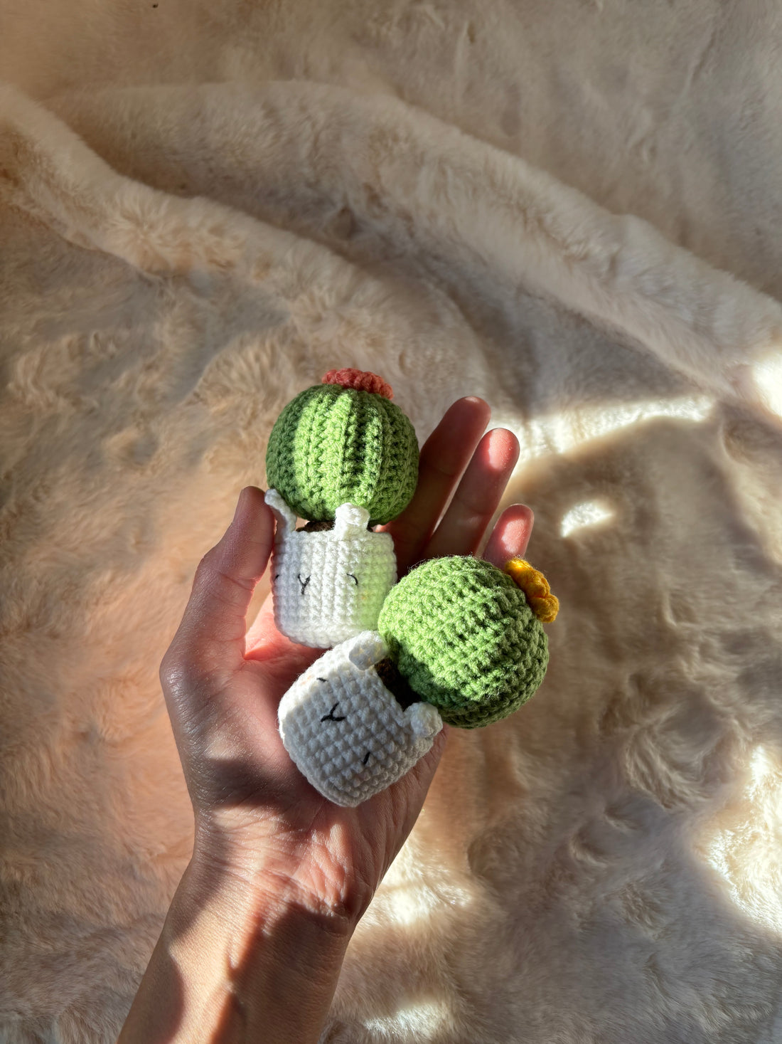 Hand holding two crochet flowering cacti in white cat pots