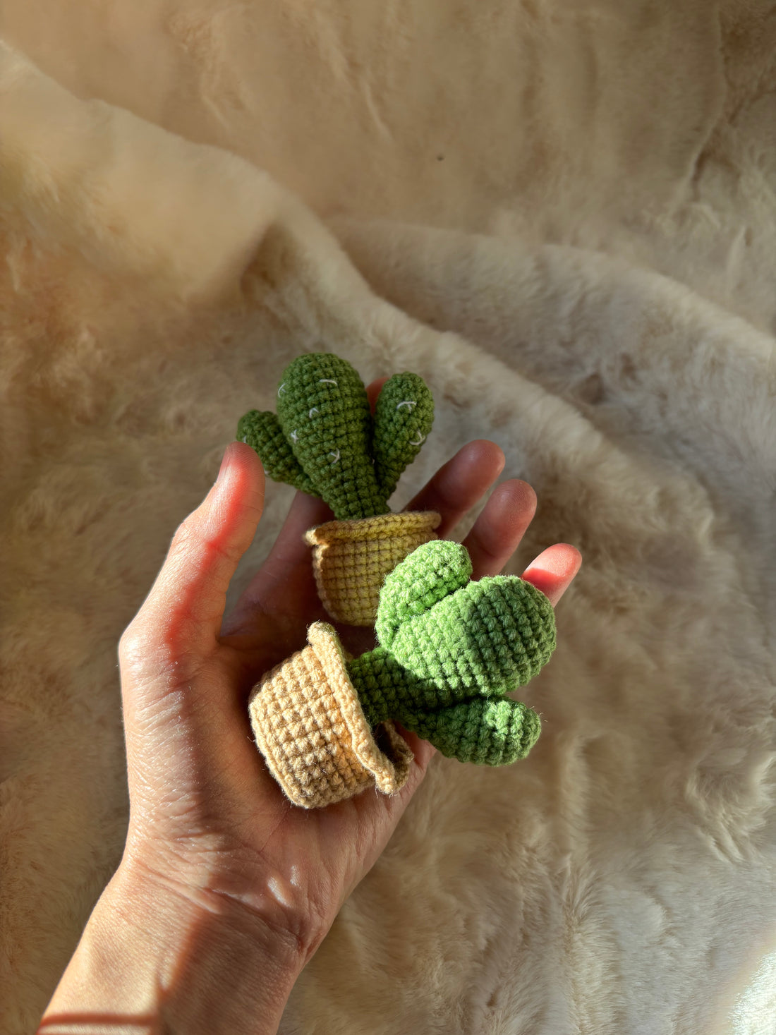 Hand holding crochet bunny ear cacti in basket pots
