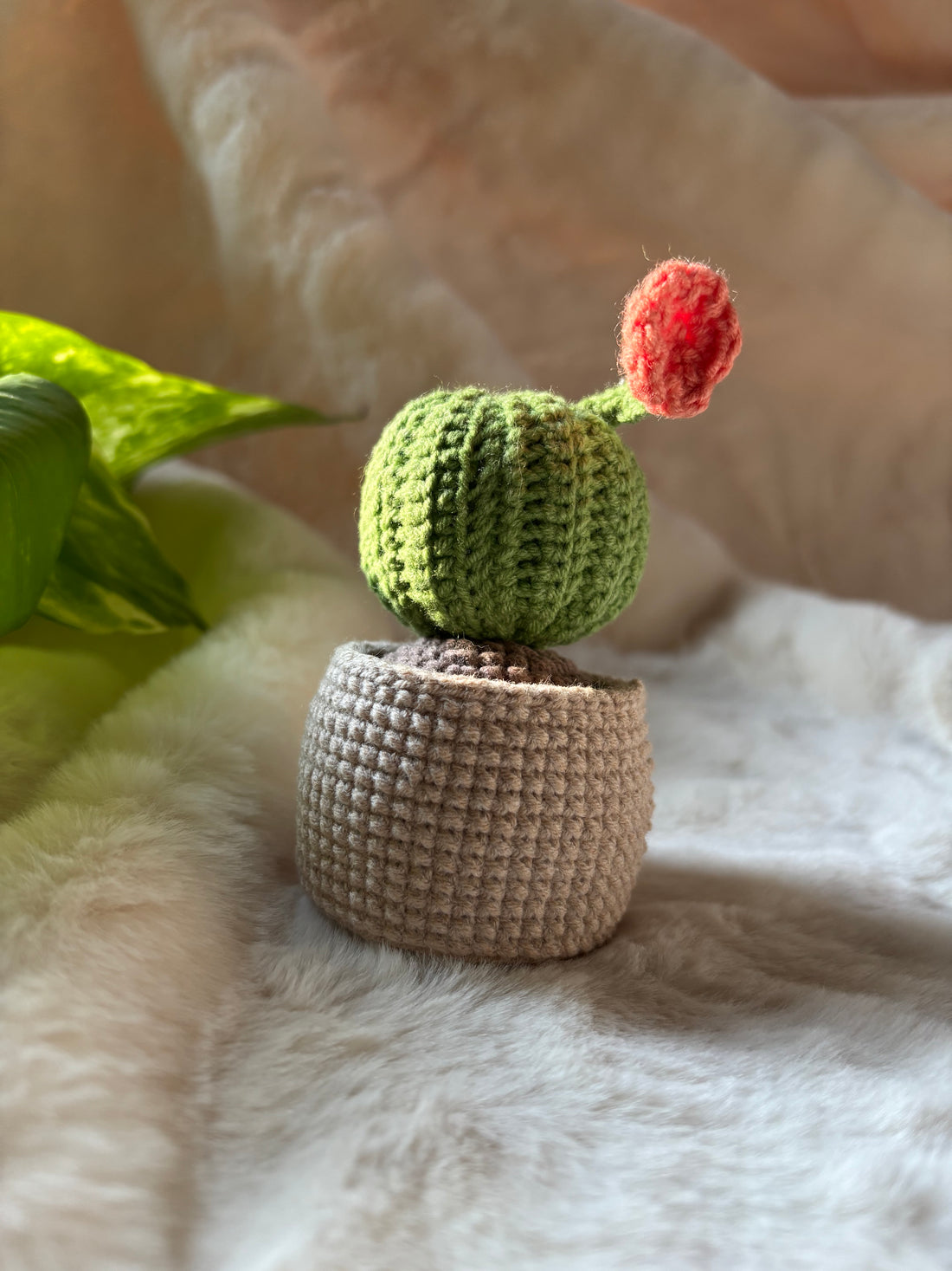 Crochet barrel cactus with coral flower in beige basket pot beside a plant