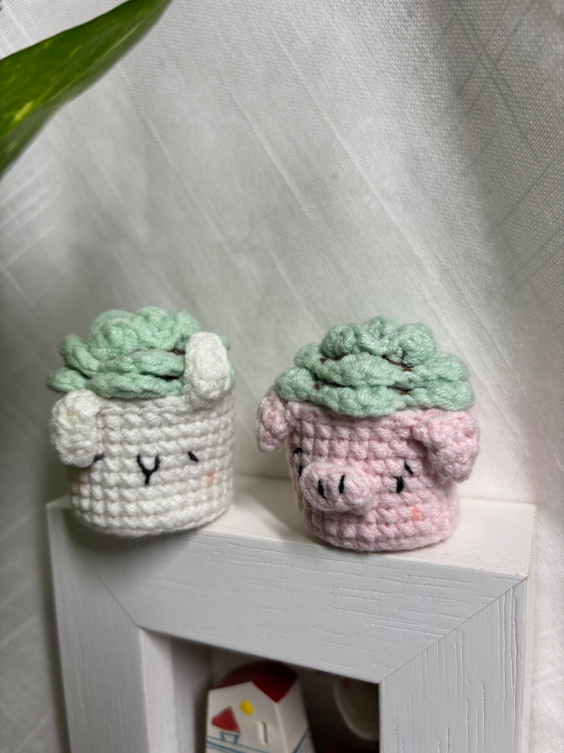 Mini succulente all’uncinetto — Photo 2