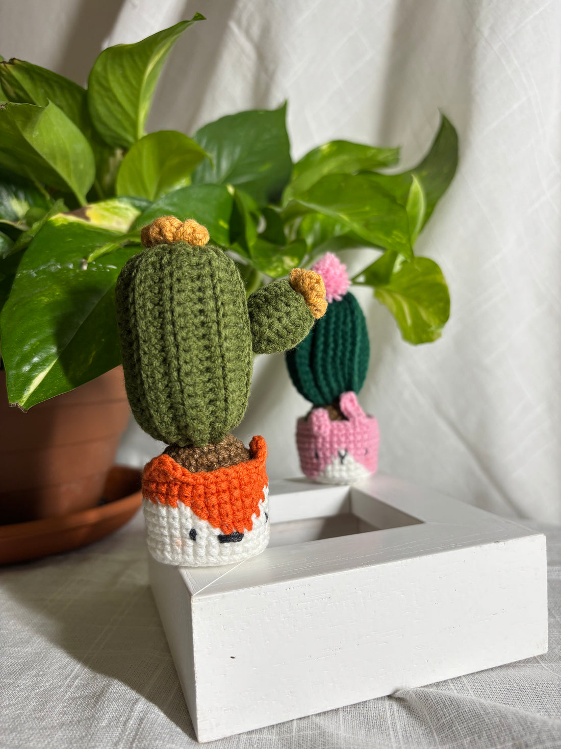 Crochet flowering cacti in fox and bunny pots beside a plant