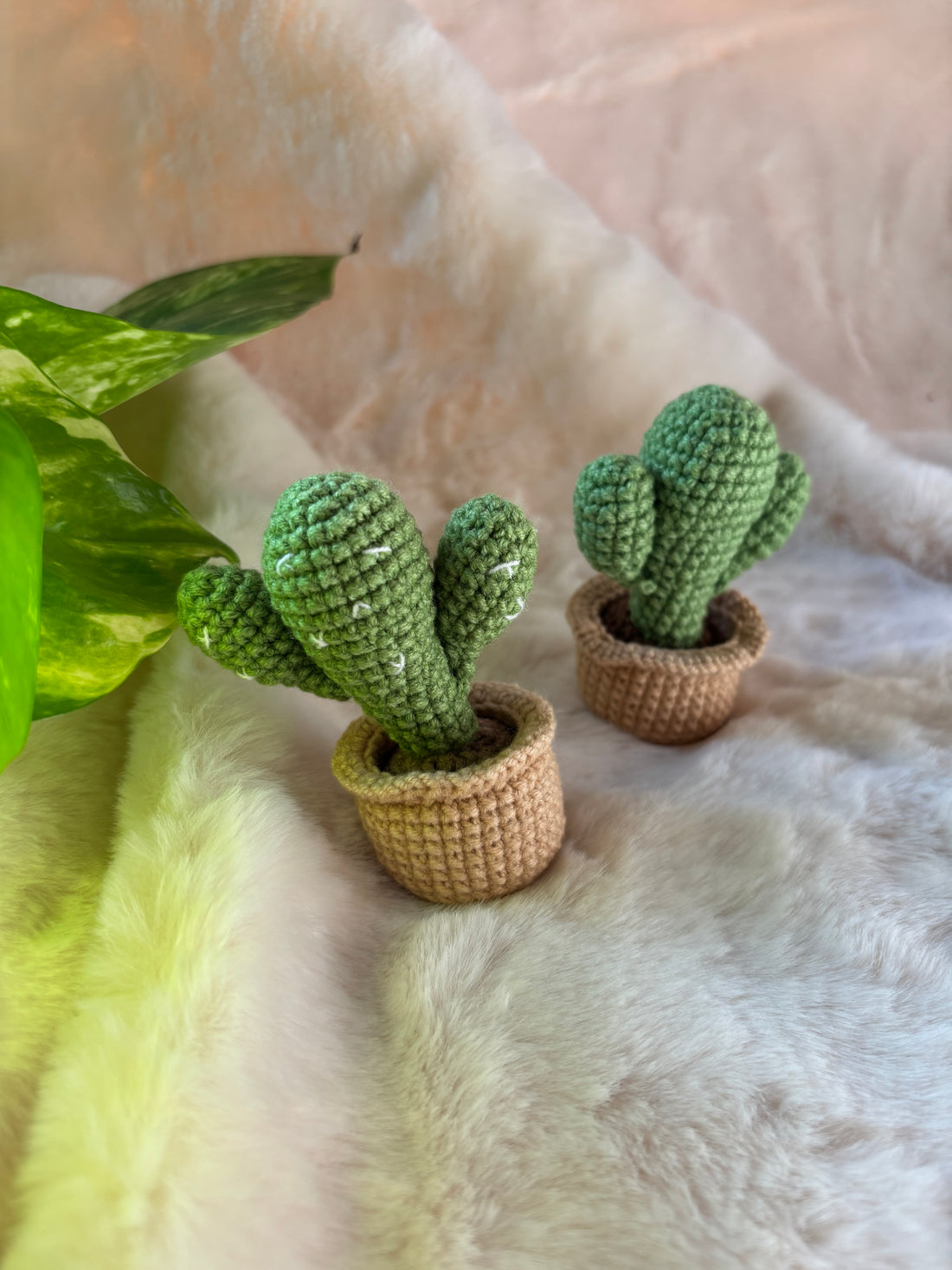 Two crochet bunny ear cacti in beige basket pots beside a plant