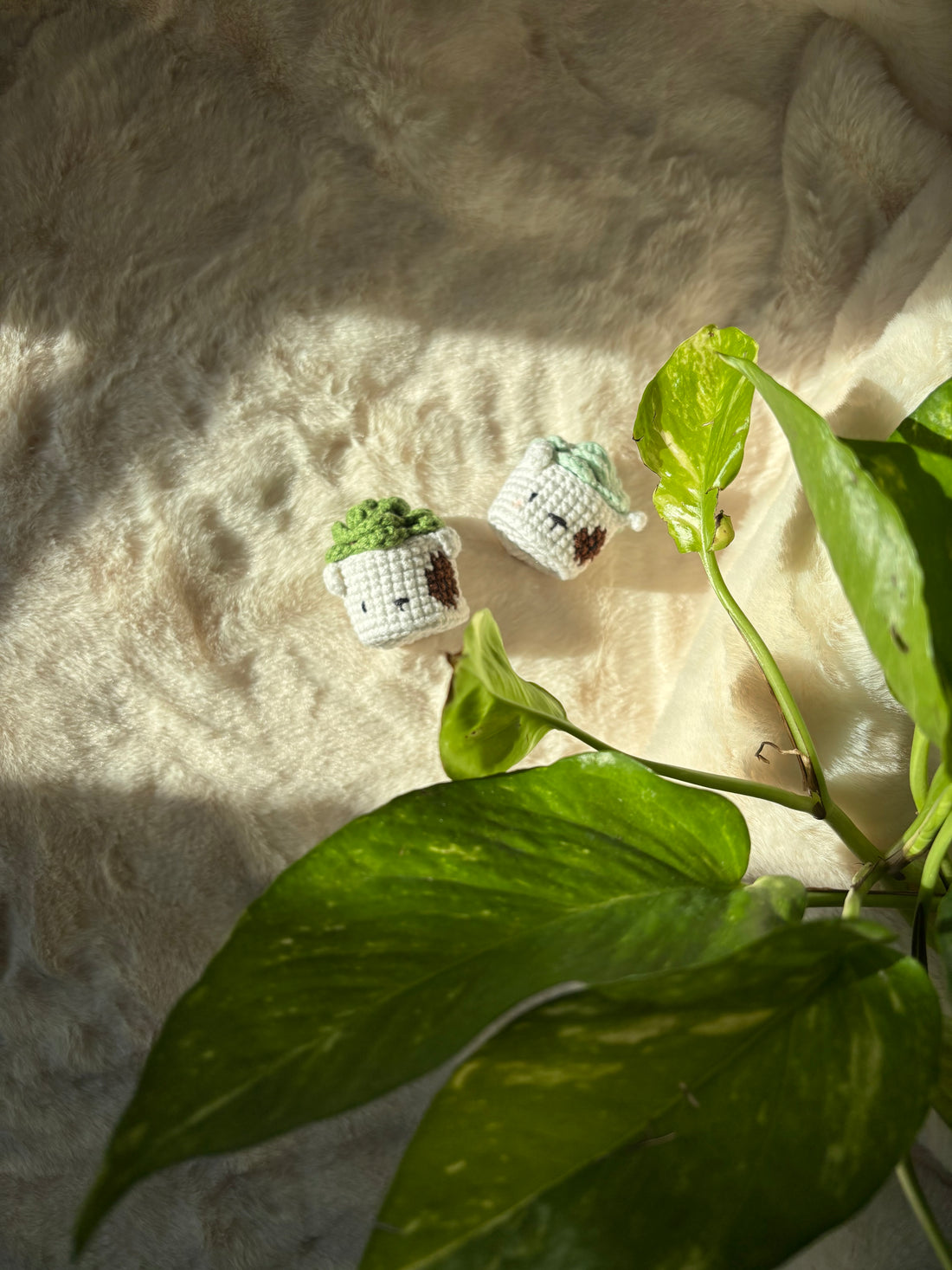 Two tiny crochet succulents in white pots on a fur rug beside a plant
