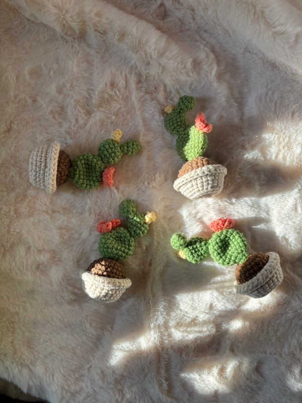 Four tiny crochet prickly pear cacti with flowers, top view