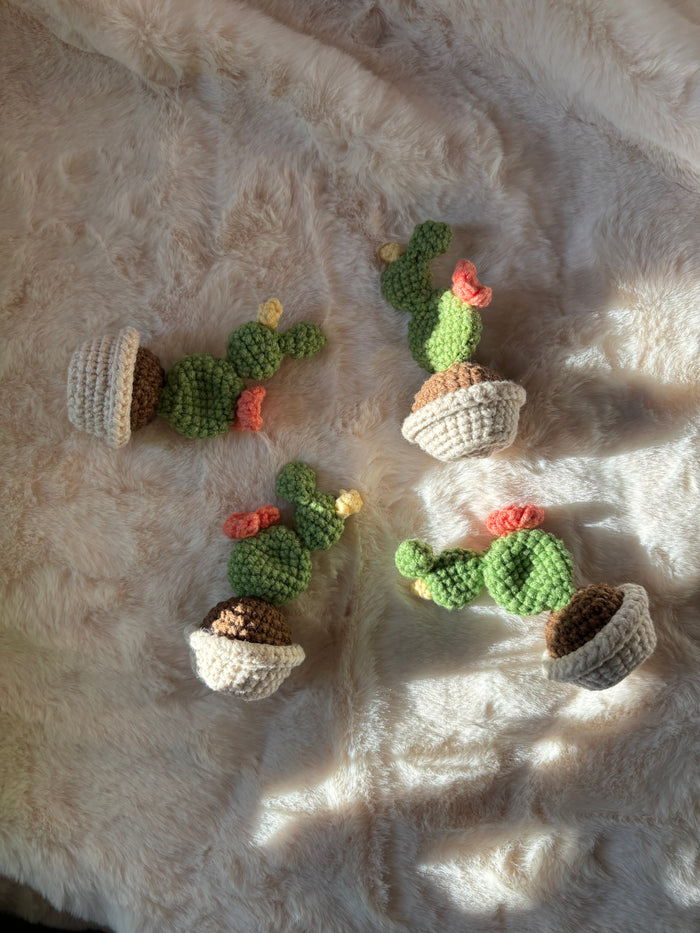 Four tiny crochet prickly pear cacti with flowers, top view
