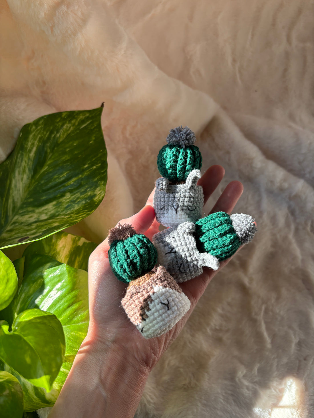 Hand holding two crochet cacti in grey cat pots