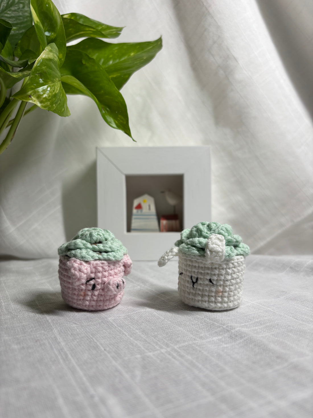 Mini succulente all’uncinetto — Photo 3