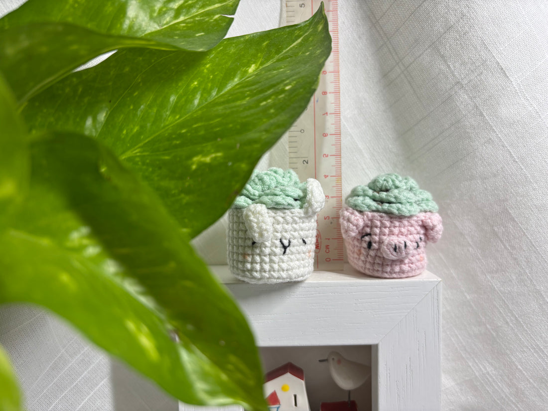 Mini succulente all’uncinetto — Photo 4