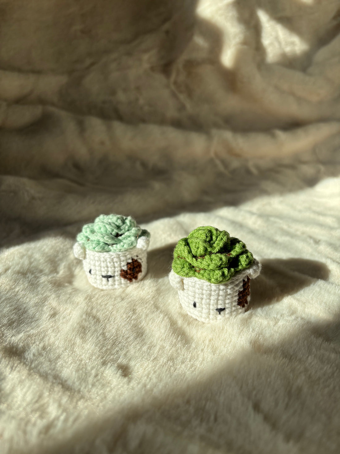Pair of tiny crochet succulents with embroidered faces in sunlight