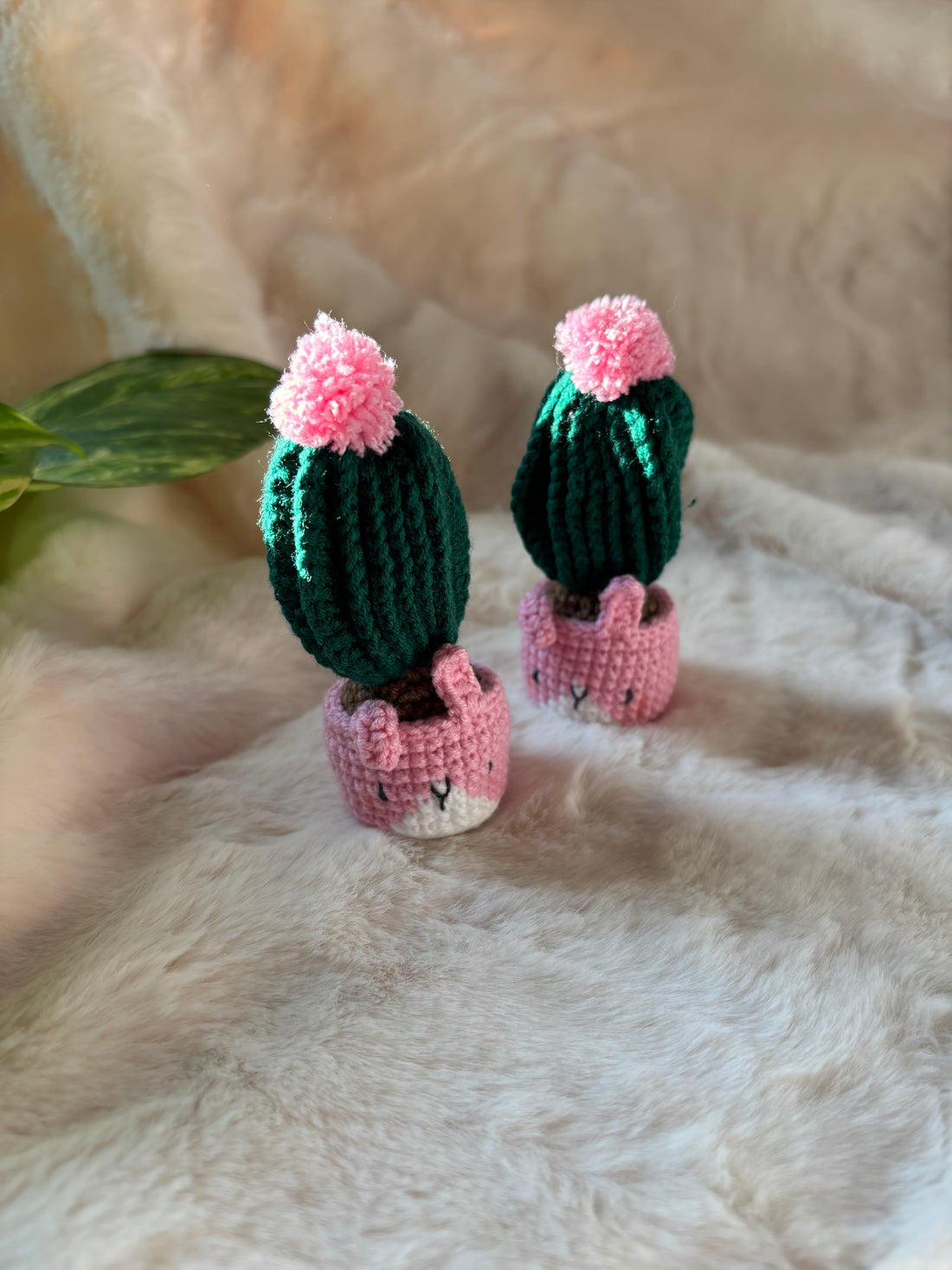 Two crochet cacti with pink pom-pom flowers standing side by side