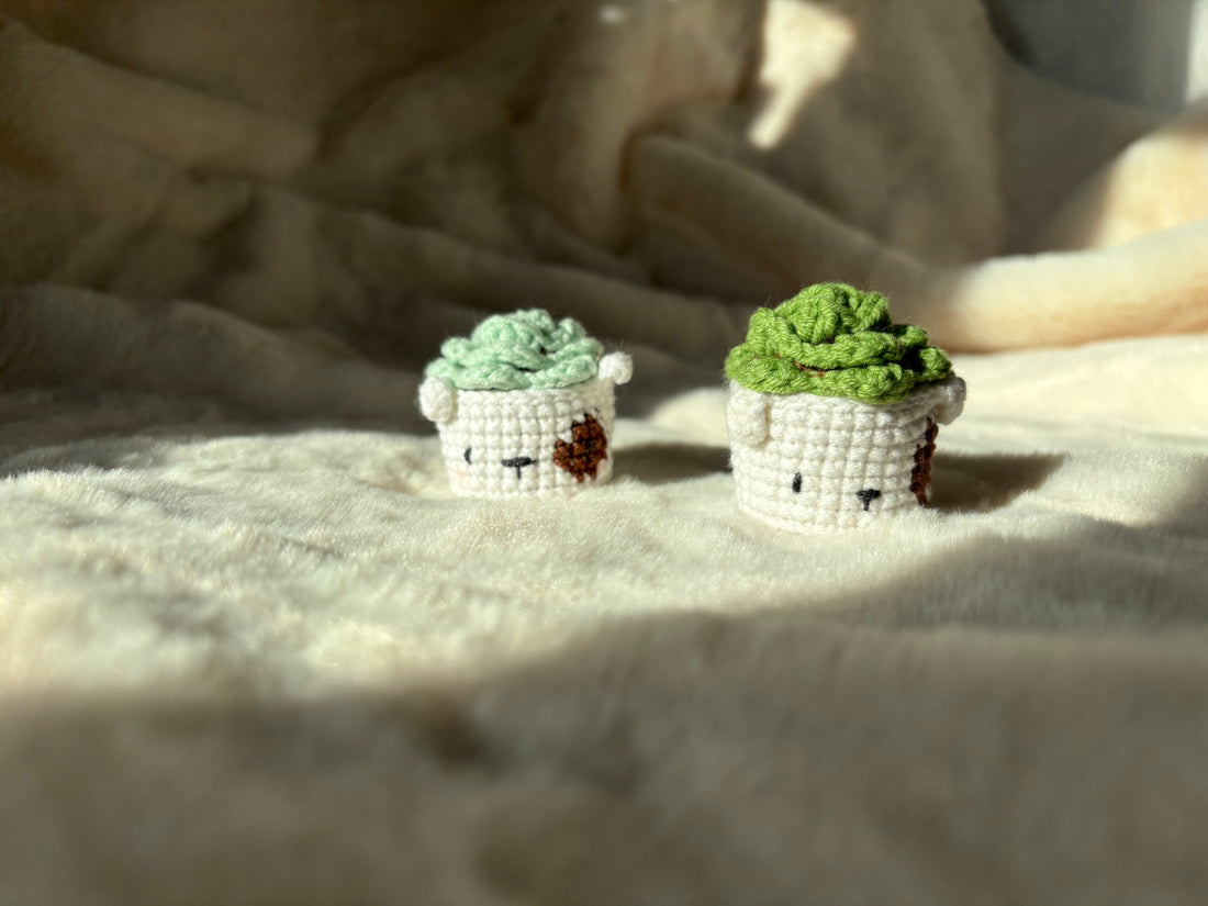 Close-up of two tiny crochet succulents in white sleepy face pots