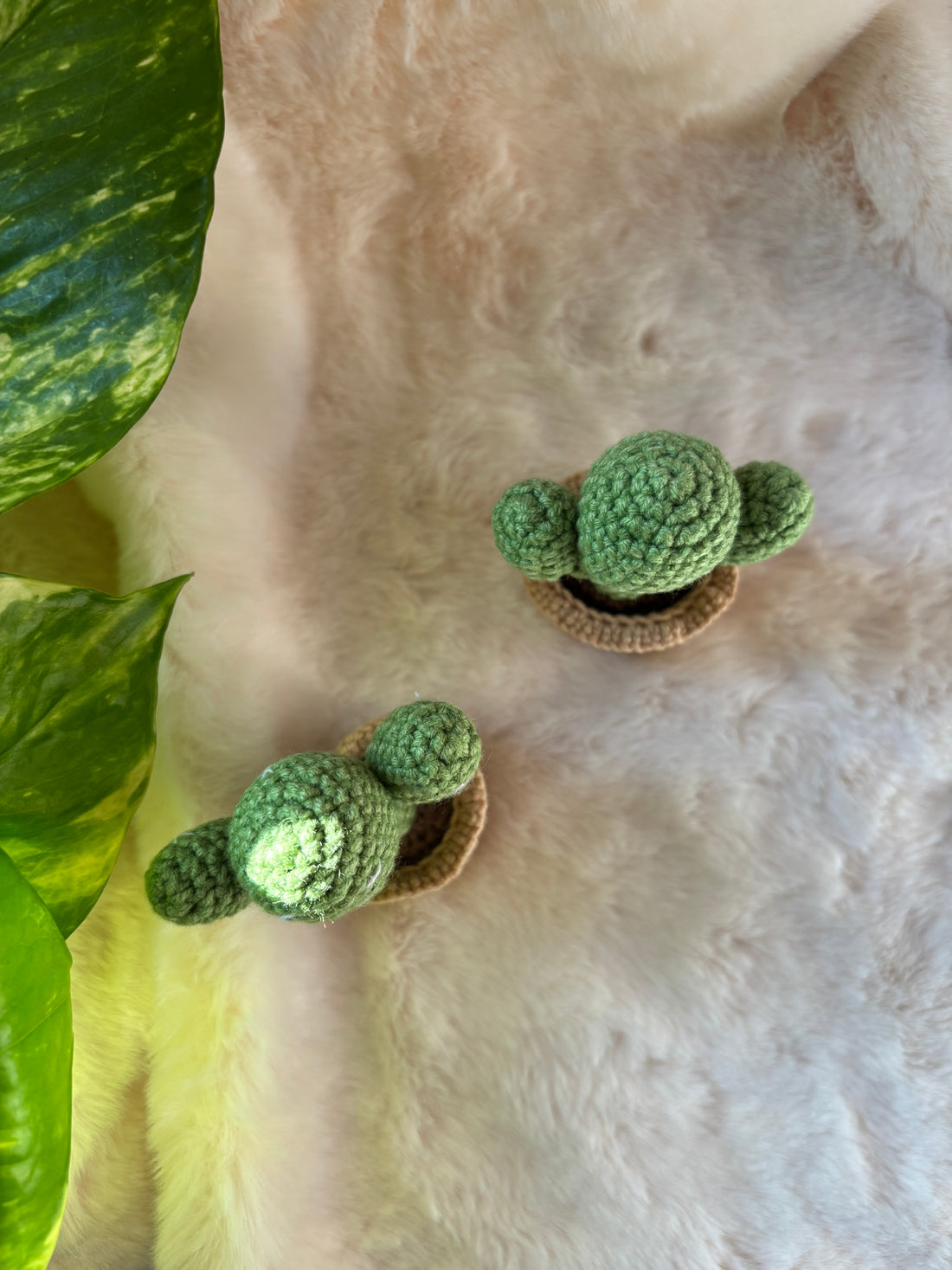 Two crochet bunny ear cacti on a fur rug, top view