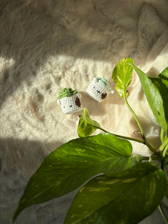 Two tiny crochet succulents in white pots on a fur rug beside a plant